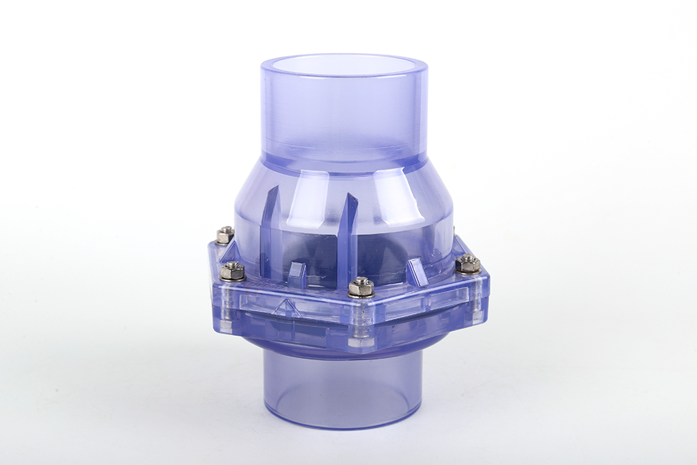 凯里透明翻板式止回阀